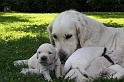 IMG_1385 * 480 x 320 * (48KB)