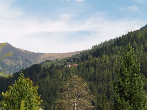 Volgende foto