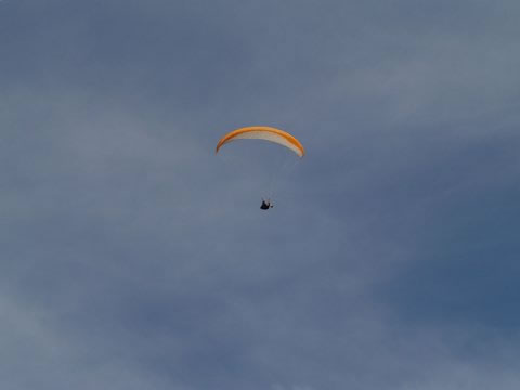 Volgende foto