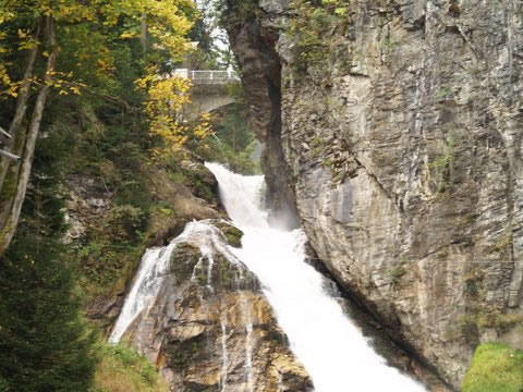 Volgende foto
