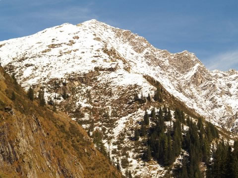 Volgende foto
