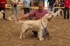 Phoebe, show Vries
